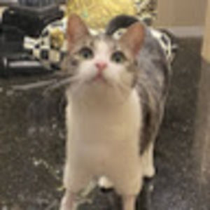 Meet your Posher, Brynn